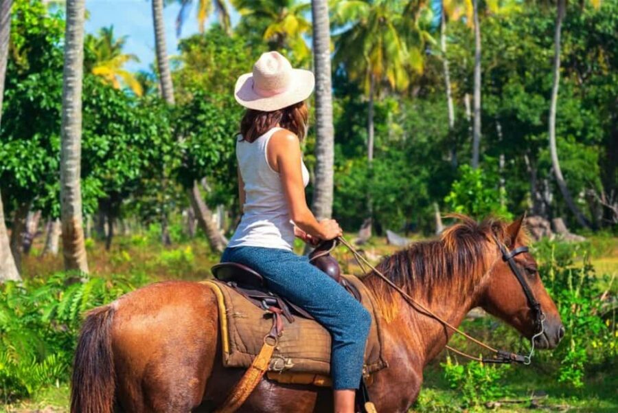 Samana: HorseRiding, Boat Tour in Los Haitises + Cano Hondo - What Travelers Say