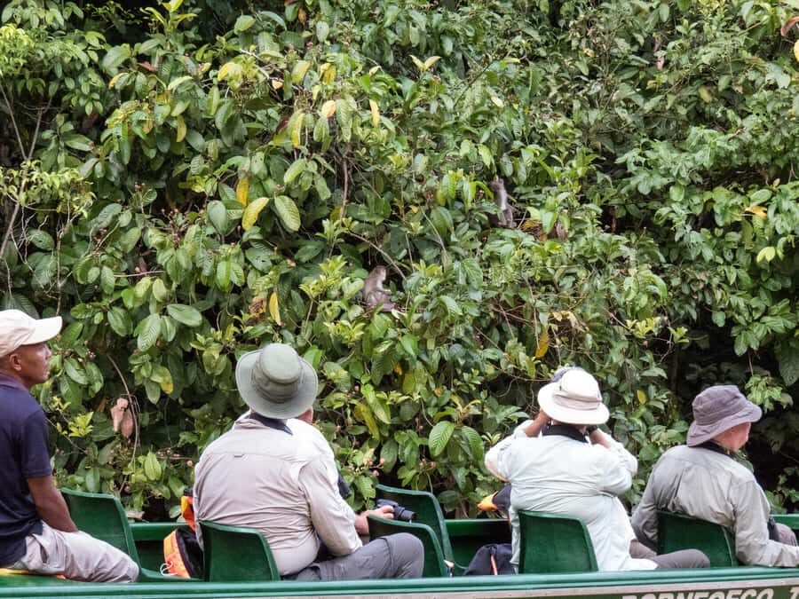 Sandakan: 2-Day Kinabatangan River Wildlife Tour & Cave - Who Will Love This Tour?