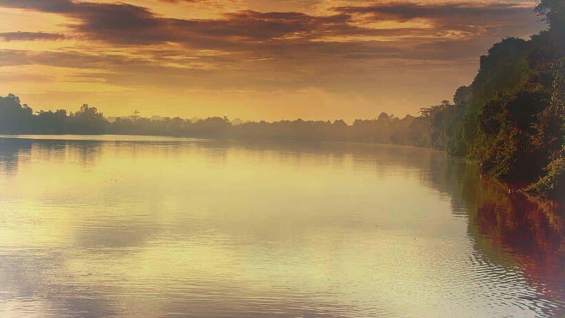 Sandakan: 2 Days 1 Night Bilit, Kinabatangan River Wildlife - What You Can Expect: An Honest Breakdown