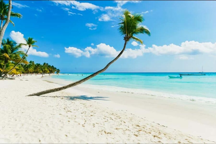 Saona Island Catamaran Cruise with Buffet - The Beach and Island Experience