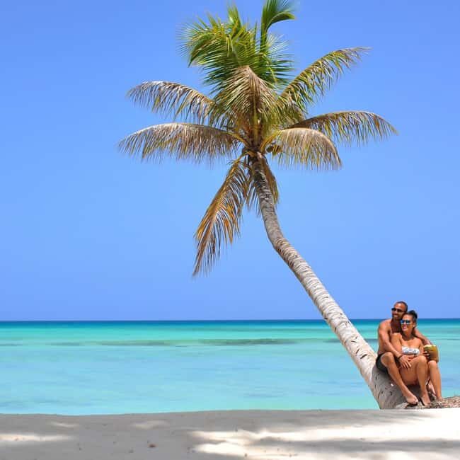 Saona Island: Full-Day Tour with Snorkeling and Lunch - The Beach Buffet and Open Bar Experience