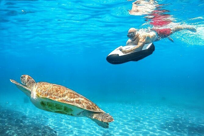 Seabob Rental in Guadeloupe - Why This Tour Works for Travelers
