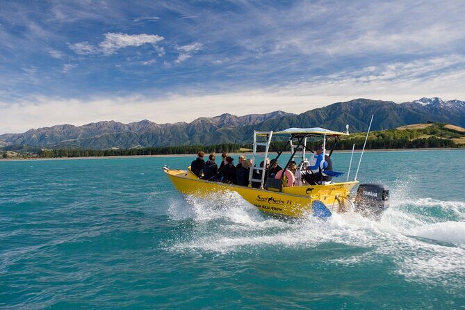 Seal Swimming Tour from Kaikoura - The Value of the Experience