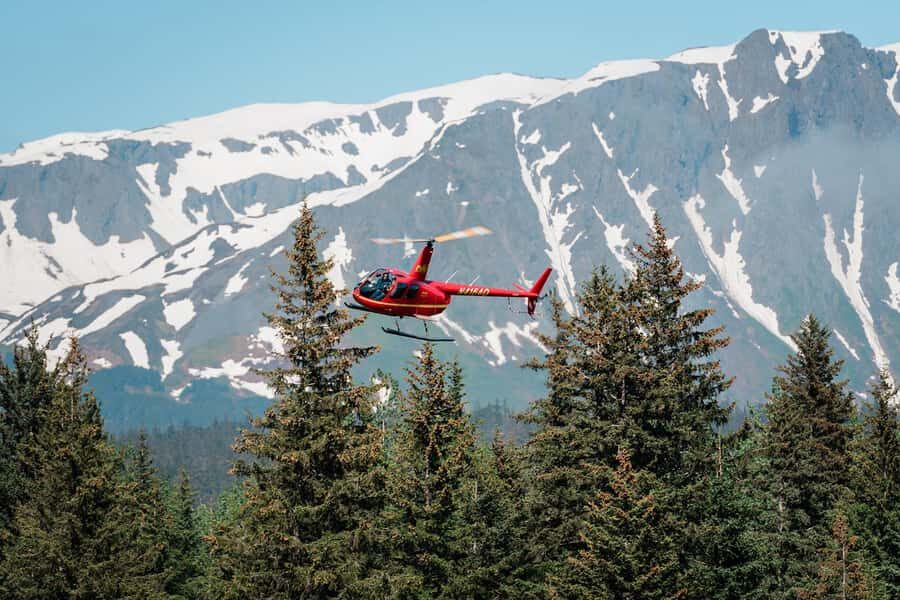 Seward: Grand View Tour - The Itinerary Breakdown