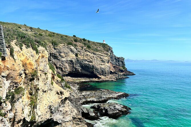 Shared Small Group Dunedin City and Peninsula Scenery Day Tour - Practical Details