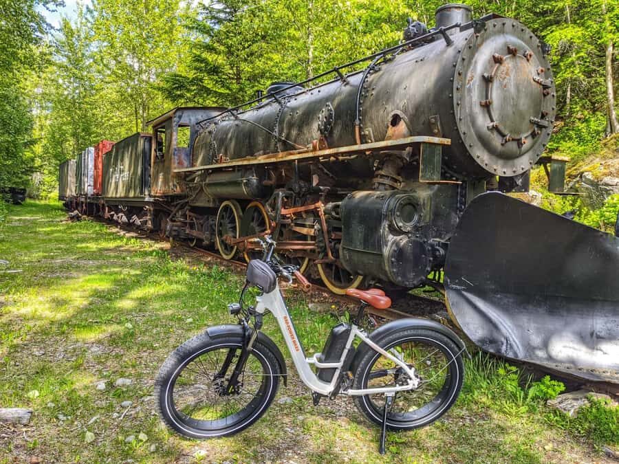 Skagway: E-Bike Rental - What to Expect During Your Day in the Saddle