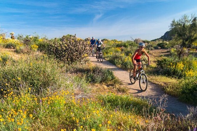 Sonoran Desert Guided Mountain Bike Tour - What Travelers Say: Genuine Feedback