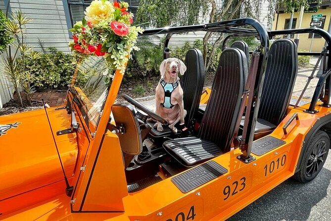 St. Augustine Scavenger Hunt in an Electric Moke Vehicle - The Experience: From Transportation to Discovery