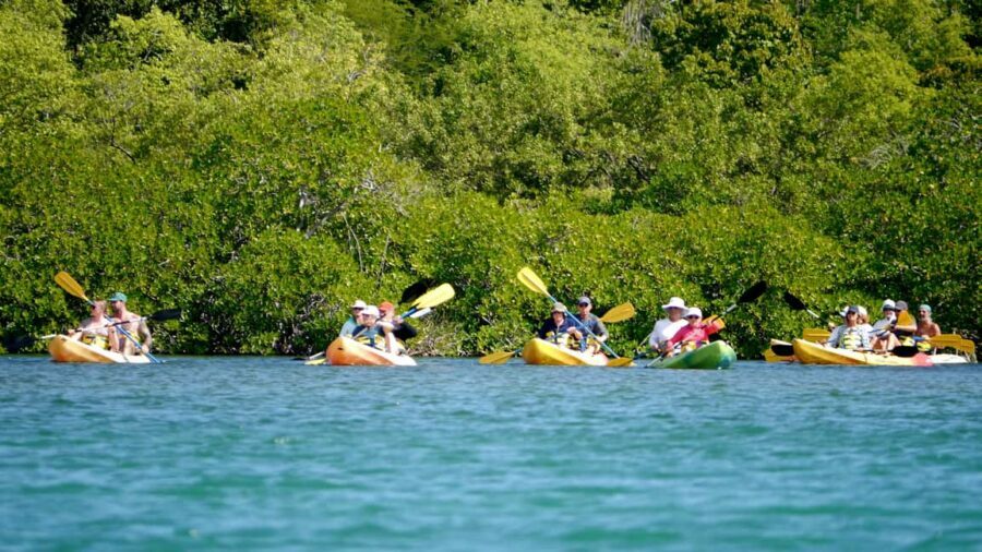 St. John's, Antigua Kayak, Snorkeling, & Beach Bird Island - What Sets This Tour Apart