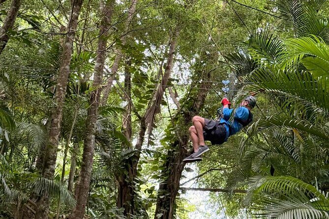 St. Lucia Horseback Riding & Zip Lining Adventure Tour - Authentic Insights from Reviews