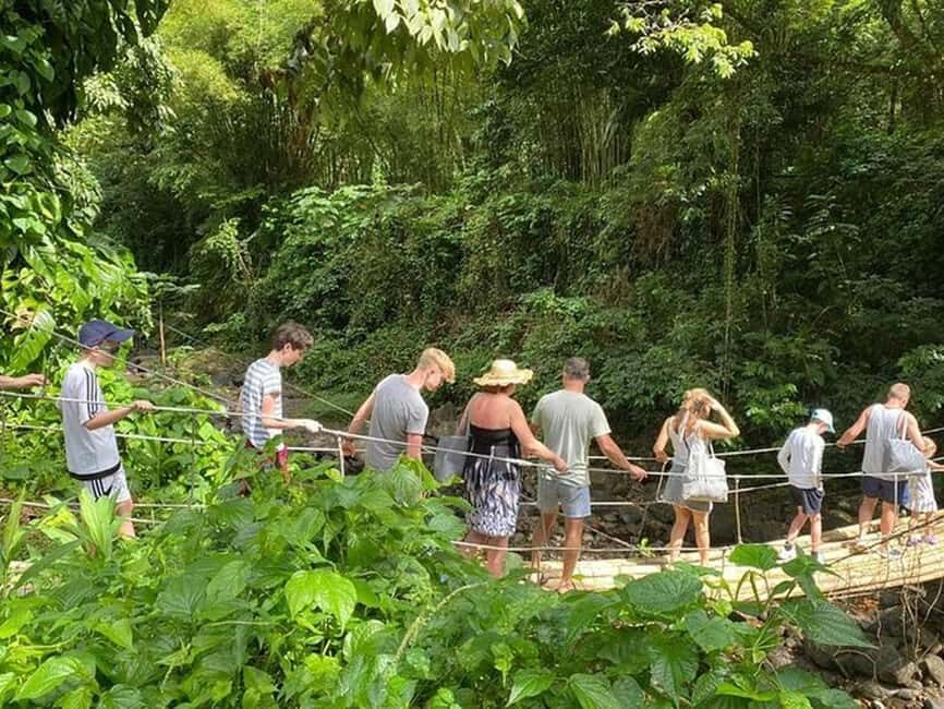 St. Vincent: Dark View Falls Tour - Transportation, Duration, and Overall Value