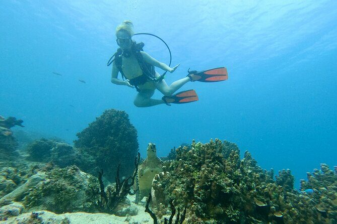 StandUp PaddleBoard Lesson and Experience Scuba Diving Package! - Why Travelers Love This Experience