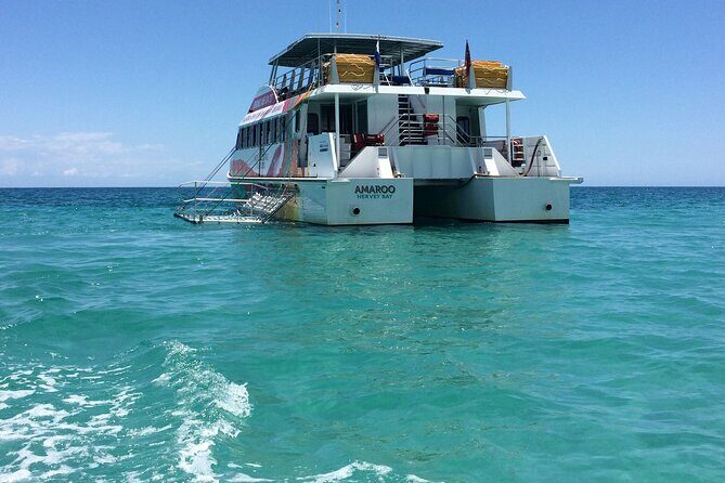 SUMMER K'gari (Fraser Island) Boom-net & Sightseeing Cruise - An In-Depth Look at the Tour Experience