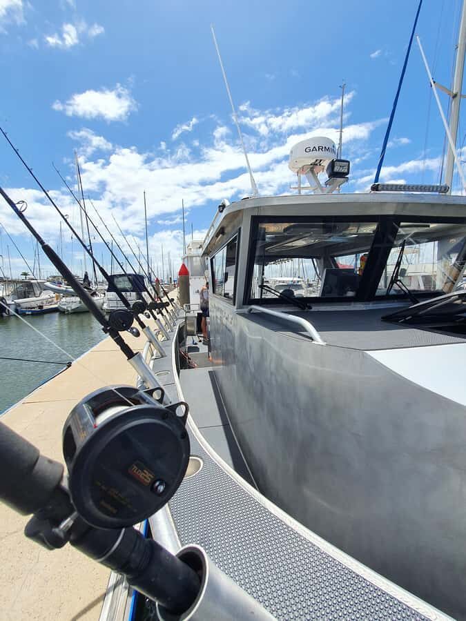 Sunshine Coast: Fishing Charters - Why This Tour Is Worth Considering