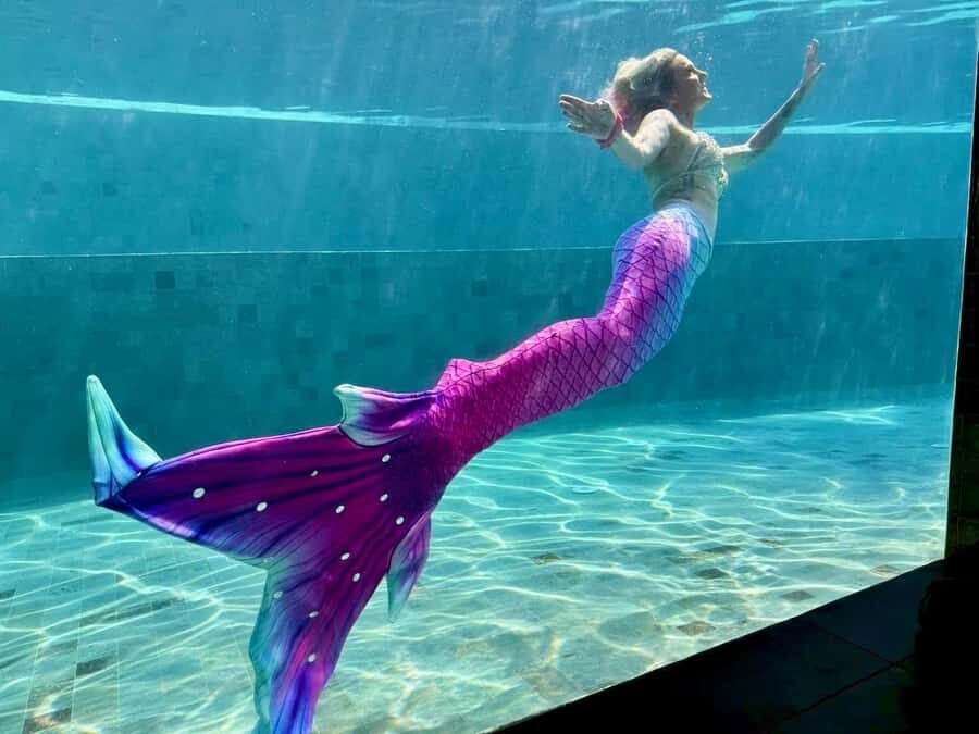 Sunshine Coast: Mermaid Swim Experience - The Itinerary: What to Expect from Start to Finish
