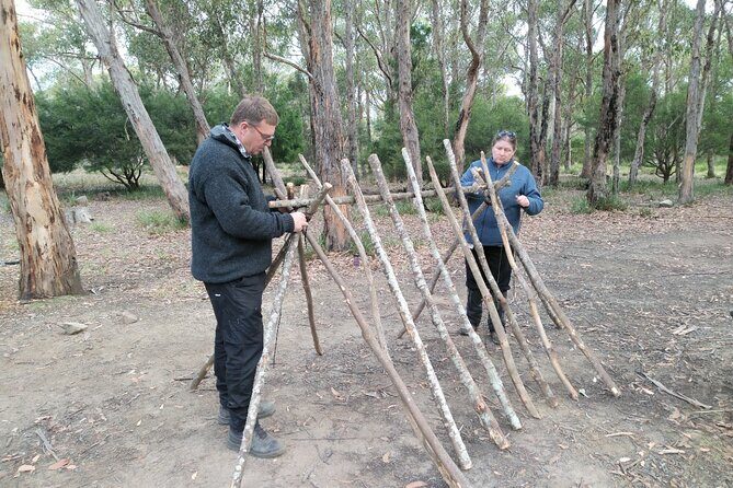 Survival Course & Basic Bushcraft Learning to Survive in the Wild - Price and Value