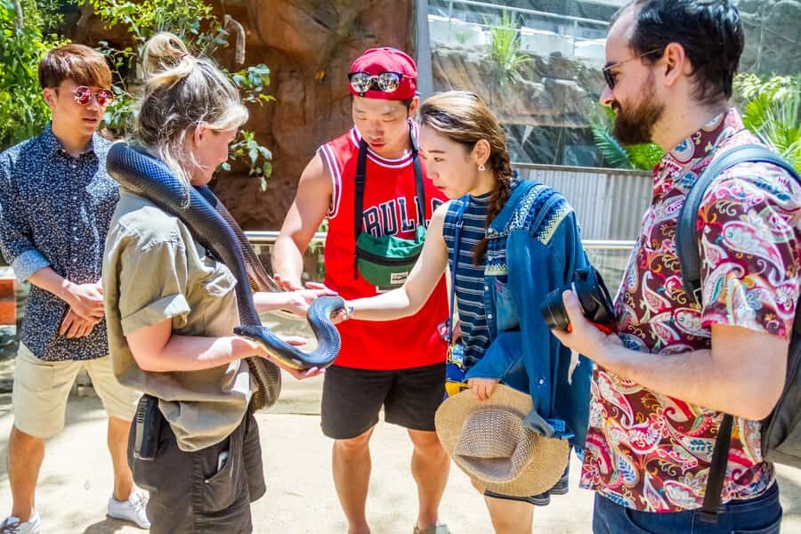 Sydney: Combo Pass for 2, 3, or 4 Top City Attractions - Who Will Love This