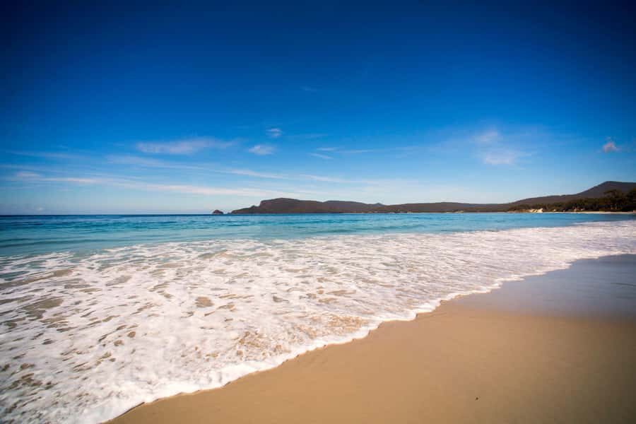 Tasmania: Private Luxury Tour with Custom Itinerary - Who Should Book This Tour?