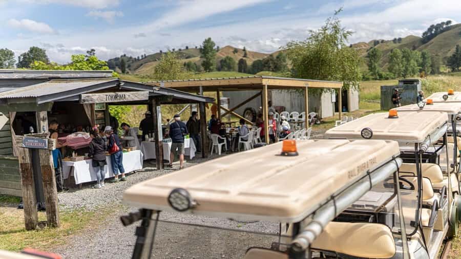 Taumarunui: Forgotten World Rail Cart Tour with Lunch - Authenticity and Value