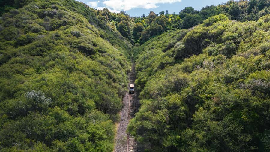 Taumarunui: Railcart and Jetboat Adventure with lunch - The Experience and Its Value