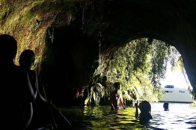 Tauranga Port - Pure Cruise Rotoiti Lake, Glowworms & Hells Gate - Glow Worm Encounters