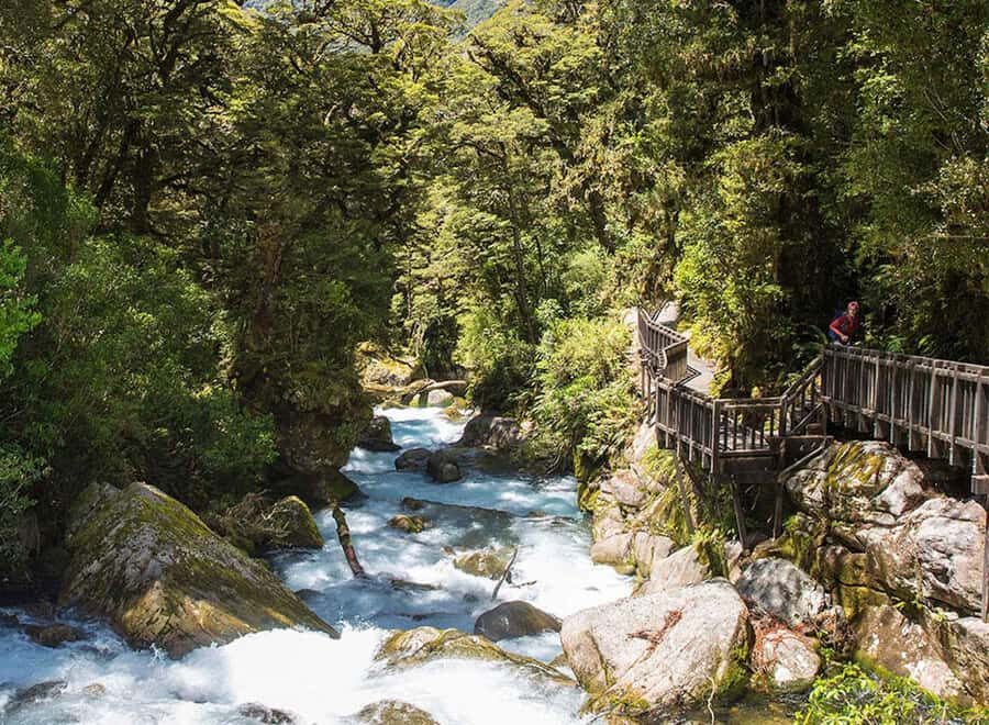Te Anau: Lake Marian Guided Day Hike with Lunch - In-Depth Look at the Itinerary