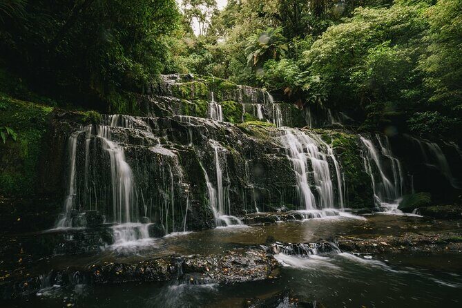Te Anau to Dunedin Via The Catlins Small-Group Tour (One-Way) - Authentic Reviews & Highlights