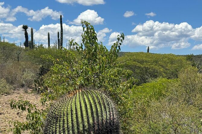 Tehucan Day Tour and Biosphere Reserve - Authenticity and Value