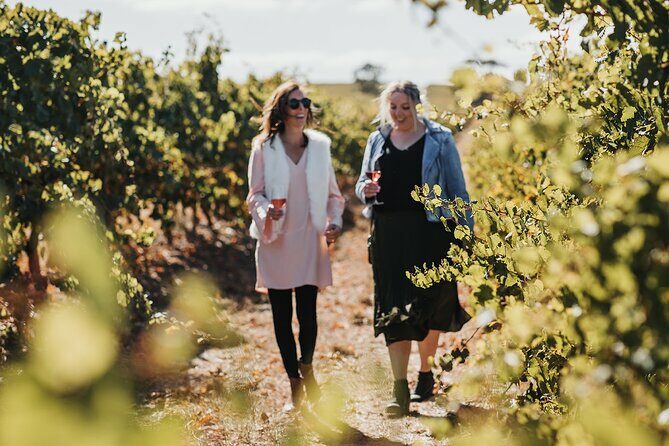 The Florita Wine Tasting Experience - Exploring the Itinerary in Detail