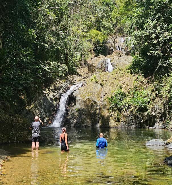 Tobago: Half Day Atlantic Coast Tour with Transfer - What You’ll Love About This Tour