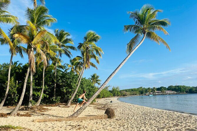 Tour to discover the paradisiacal beaches of the South (Salines) - What Makes This Tour Stand Out