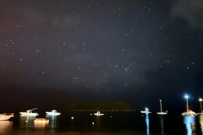 Transparent Canoes Illuminated on the Seawall of Hope - What Travelers Say (Based on Reviews)