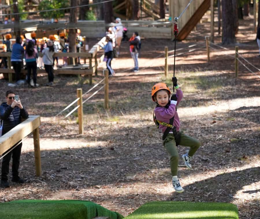 TreeClimb Kuitpo Forest: Treetop Fun For Little Adventurers - What to Expect During Your Visit