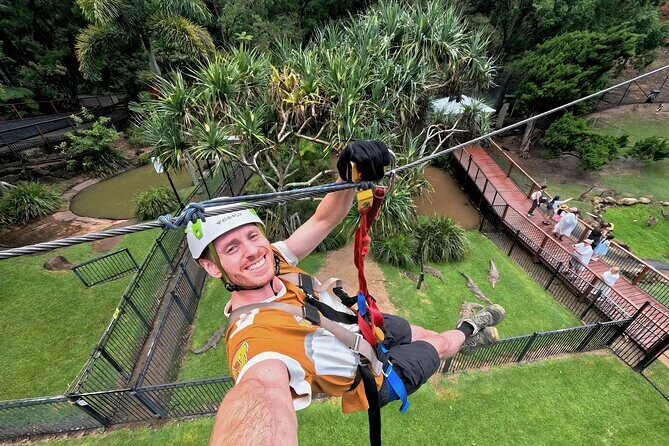 TreeTop Challenge Currumbin Wildlife Park - Review Highlights from Visitors