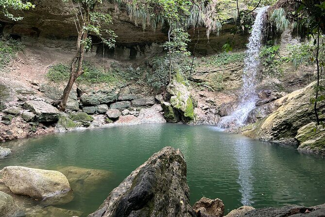 Tropical Rainforest Luxury Experiences - Discovering the Natural and Cultural Treasures of Puerto Rico