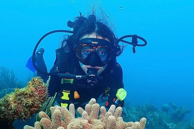 Tulum Diving (Reef) 2 Tanks - The Bottom Line: Who Will Love This?