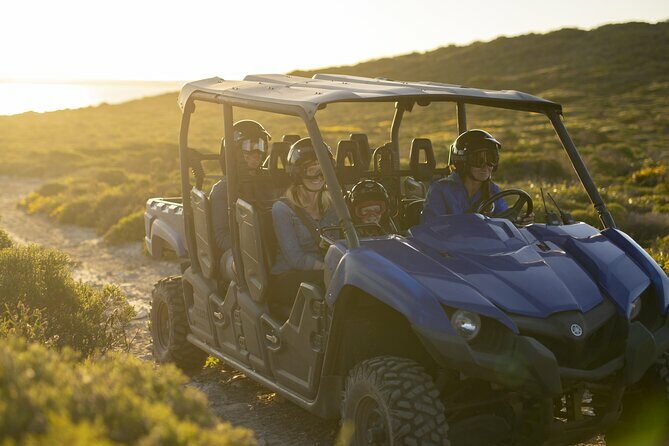 Ultimate Buggy Tour in Kangaroo Island - Authentic Experiences & Real Feedback