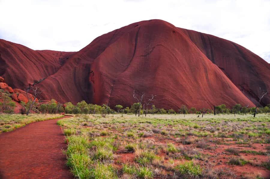 Uluru: Sacred Sites & Sunset Tour with Wine & Cheeseboard - Why Travelers Love This Experience
