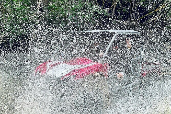 UTV adventure in Naguabo Puerto Rico 50 minutes trip 80 acres - Why This Tour Is a Great Choice