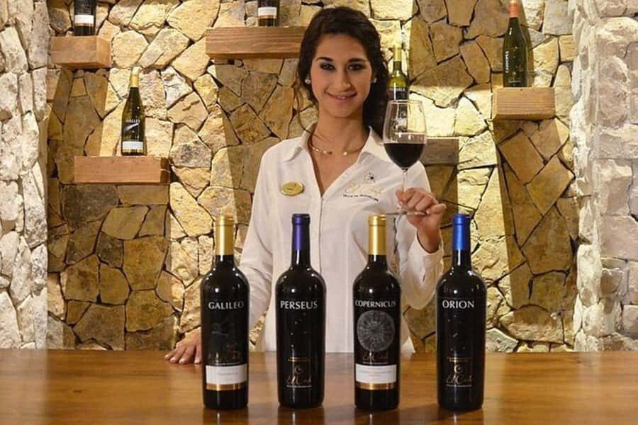 Valle de Guadalupe: Wine Tasting and Wagon Tour - What to Expect During the Tour
