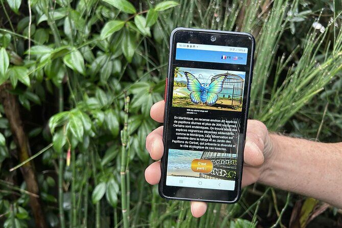 Visit Pointe-à-Pitre with a fun and fun track game! - Itinerary Breakdown: What Youll Experience