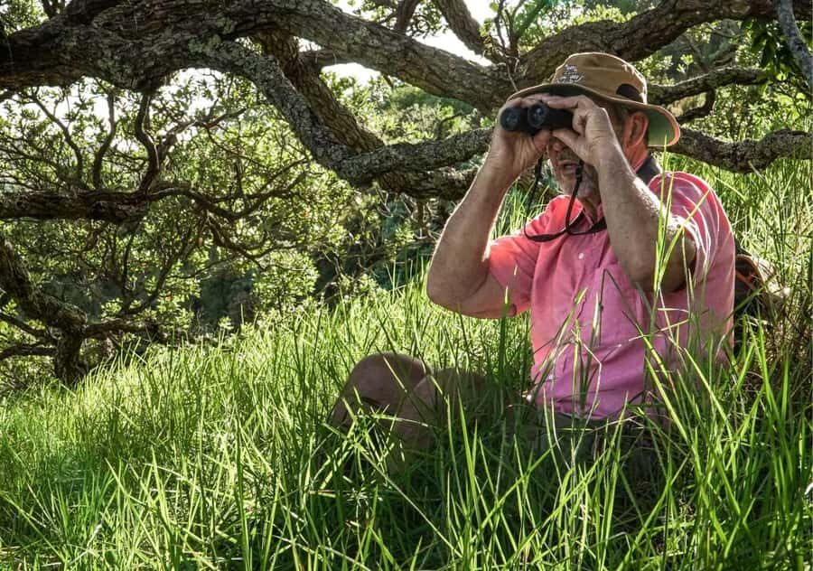 Waiheke Island: Private Birding Tour | Terra & Tide - Who Will Love This Tour?