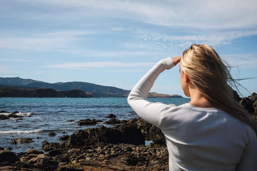 Wellington: Guided City Tour with Cable Car Ticket - What to Expect During Your 3-Hour Adventure
