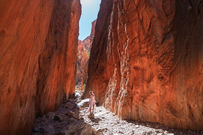 West MacDonnell Ranges- Half Day Trip from Alice Springs - The Experience: What Travelers Say