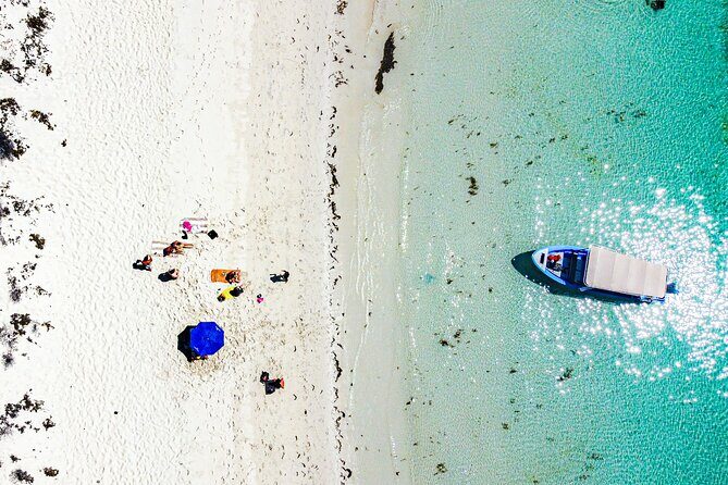 Whale sharks and sea lions snorkeling plus Balandra beach lunch - A Complete Look at the Tour Experience