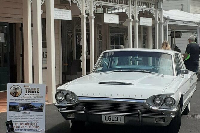 Whangarei Trike Tour to Waterfalls, Beaches & More - Who is This Tour Best For?