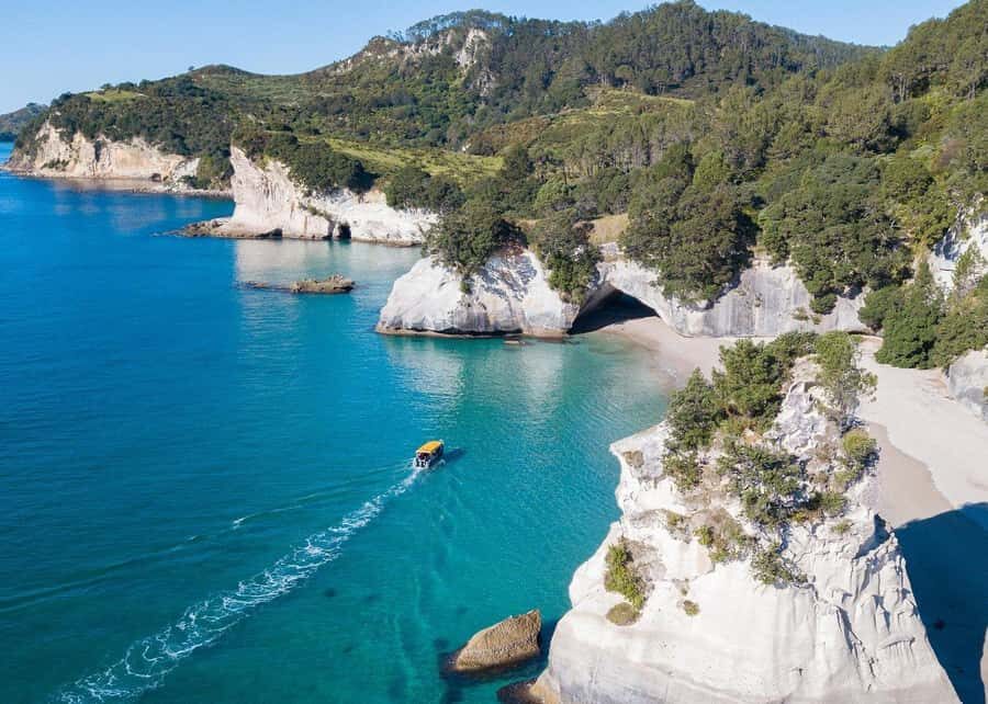 Whitianga: 2-Hour Glass Bottom Boat Cathedral Cove Tour - A Practical Overview of the Tour Experience