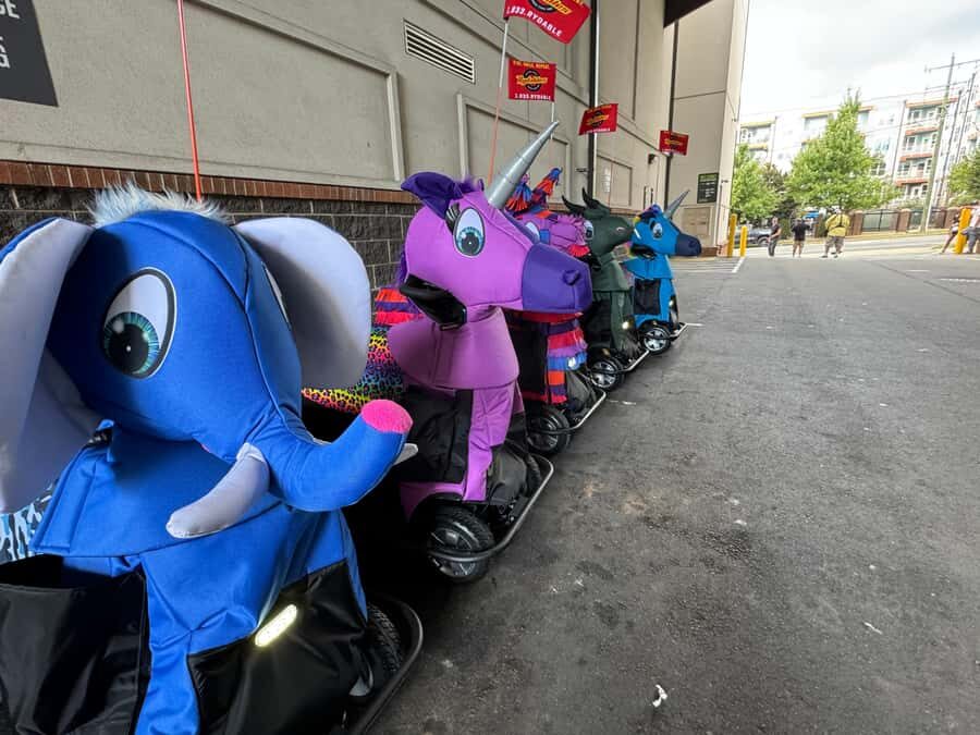 Wild Things Rydables Tour of Charlotte - What You Can Expect from the Experience