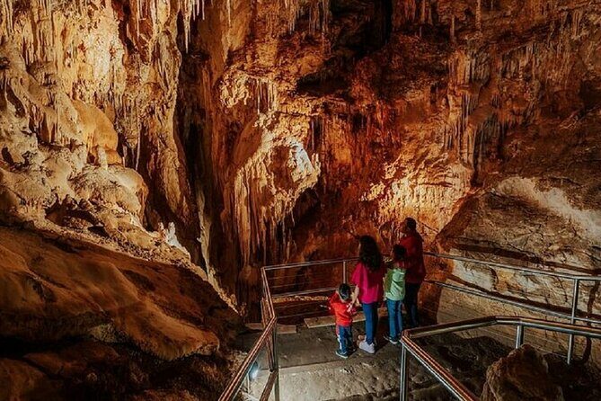 Wombeyan Caves: Fig Tree Cave Tour - Exploring the Itinerary: What to Expect