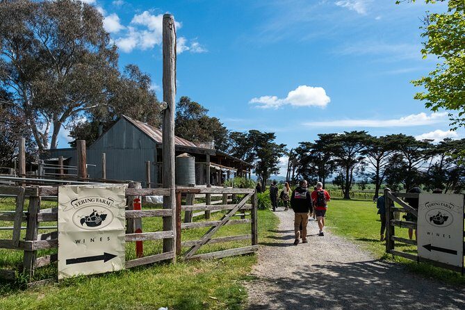 Yarra Valley Wine & Winery Tour from Melbourne - All Inclusive! - The Reviews: Authentic Voices
